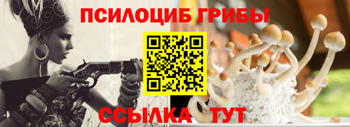 Псилоцибиновые грибы Cubensis Алатырь